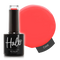 Gels & Builder Gels