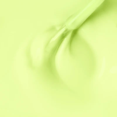 Roxi Elderflower 8ml